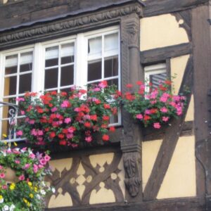 Fietsvakantie-Frankrijk.nl Hoogtepunten van de Elzas 7 dagen