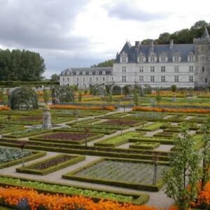 Fietsvakantie langs de Loire cat. B